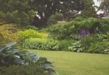 Kis kert, nagy csoda: ötletek a maximális helykihasználáshoz