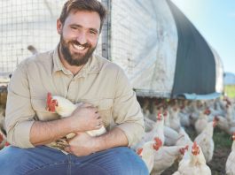 A hobbiból szenvedély: kisgazdaság férfiszemmel baromfik egy férfival
