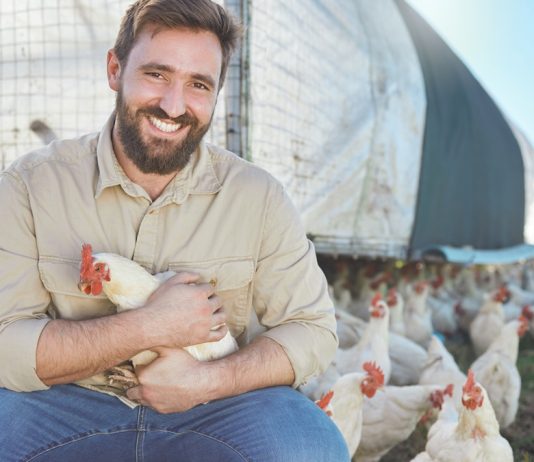 A hobbiból szenvedély: kisgazdaság férfiszemmel baromfik egy férfival